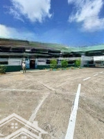 Cho Thuê Kho Xưởng Kcn Tân Đức, Tân Đô, Hải Sơn, Long An, Diện Tích: 15.000M2