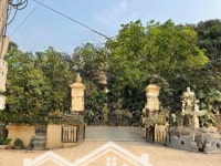 Bán Biệt Thự 475M2,Tại Phụng Châu, Chương Mỹ, Hà Nội,Mặt Tiền10M, Ô Tô 31 Tỷ