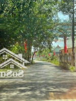 Bán Gấp Mảnh Đất 10X30 Gần Ngay Chợ Trường An Linh - Bình Dương. Thổ Cư Sr Xây Trọ Ok