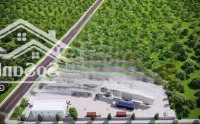 Cho Thuê Nhà Xưởng Giá Rẻ 2.100M2 & 4.500M2, Giá Tốt Vị Trí Đẹp Ngoài Kcn Long An
