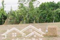 Bán Bt Legacy Hill, Tân Vinh, Lương Sơn, Hòa Bình Giá Cực Chất 20 Triệu/M2, 218M2