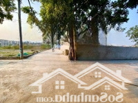 Bán Đất Nghĩa Trụ Văn Giang Hưng Yên 164M2, Giá 69 Triệu/M2