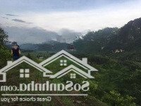Chính Chủ Cho Thuê Giá Rẻ Lâu Dài Trang Trại Tại Xã Liên Sơn, Lương Sơn, Hòa Bình