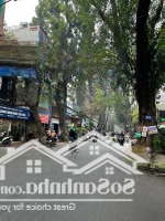 Mặt Phố Hoàng Hoa Thám 262M2 Đất Mặt Tiền 6.3M Giá Bán 85 Tỷ
