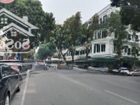 Bán Mảnh Đất Vàng Trung Tâm Hoàn Kiếm Sát Nhà Hát Lớn Lô Góc Ô Tô Tránhdiện Tích139Mmặt Tiền20M Giá Cực Tốt