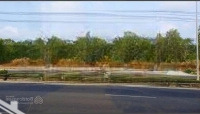 Nhanh Tay Sở Hữu Đất Đẹp Dương Tơ Giá Siêu Hời