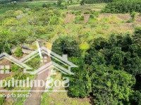 Bán Đất Mẫu Gần Sân Bay Long Thành, Giá Đầu Tư Có Dòng Tiền Hàng Tháng