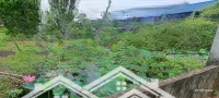 Bán Lô Đất Tại P. Tân An Tdm.diện Tích803M2. Có Sẵn Ao Sen Nhà Gỗ Và View Rạch Lớn. Giá Bán 4 Tỷ 3