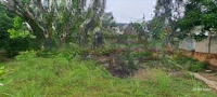 Bán Lô Đất Tại P. Tân An Tdm.diện Tích803M2. Có Sẵn Ao Sen Nhà Gỗ Và View Rạch Lớn. Giá Bán 4 Tỷ 3