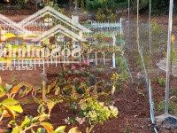 Bán Đất Nghỉ Dưỡng Ven Đà Lạt, Cách Đt 725 300M Sổ Sẵn Có Vườn Trái Cây