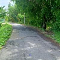  Bán nền: 230m² (5m x 40, thổ 80m²)  Đường nhựa 3.5, xã Mỹ Thọ, H Cao Lãnh.