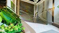 Trai Nghiệm Không Gian Sống Đẳng Cấp Với Phú Đông Sky Garden, 70M2 2Pn- 2 Vệ Sinh Giá Bán 2 Tỷ 8 Rổ Hàng Cđt