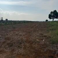 Bán đất tại Phúc Thọ, 2083 m2, đất nông nghiệp có quy hoạch thổ cư