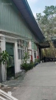 Cho Thuê Nhà Xưởng Cụm Công Nghiệp Bình Dương