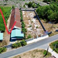 BÁN 1500M2 21M MT NHỰA NGAY ĐT44A ĐI BIỂN PHƯỚC HẢI CHỈ 2,5KM - H LONG ĐẤT