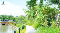 Chuyên Giỏ Hàng Giá Tốt Tại Lavida Vũng Tàu. Sở Hữu Ngay Chỉ 5 Tỷ 250 (Bao Thuế Phí Sang Nhượng)