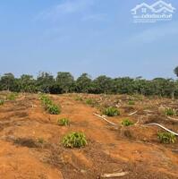 Do cần tiền chủ gửi bán nhanh lô đất Phúc Thọ gần Hasfarm, Lavela, Dreamlife