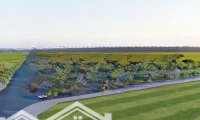 Cho Thuê Dự Án Kho Xưởng Tại Kcn Đồng Văn 1 - Hà Nam Xây Mới