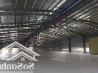 Cho Thuê Kho Xưởng Mới 4200M2, 5000M2, 7000M2, 8000M2 Trong Kcn Mỹ Xuân, Phú Mỹ, Bà Rịa Vũng Tàu