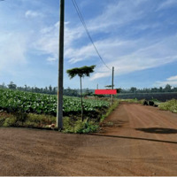 Bán lô đất view hồ siêu đẹp tại Phúc Hưng, Phúc Thọ, Lâm Đồng