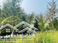 Chủ Cần Bán Gấp Lô Fpt Mặt Tiền Kênh Sinh Thái