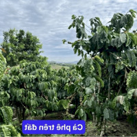 Phúc Thọ bán nhanh lô đất View hồ, View đồi núi săn mây