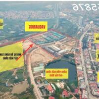 Bán gấp biệt thự tại Vaquarius Văn Giang 136m2