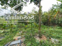 Bán 1600M Có 150Tc Lô Đất Nghỉ Dưỡng, Sẵn Khuân Viên Nhỏ Xinh. Giá Chỉ Nhỉnh 3,X Tỷ