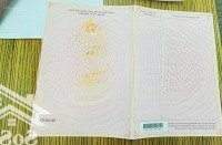 Bán Đất Vsip Ii Tân Bình Bắc Tân Uyên, Giá Tốt, Liên Hệ: 0983866136 Làm Việc Chính Chủ