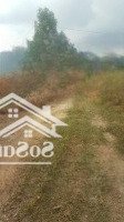 3231M2 Đất Du Lịch Biển Bình Thuận Đường Oto Tải