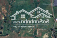 Bán Đất Trang Trại Giá Rẻ, Thuận Hòa, Hàm Thuận Bắc, Bình Thuận