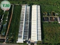 Bán Nhà Xưởng 10.540M2 Kcn Phú An Thạnh, Bến Lức, Long An