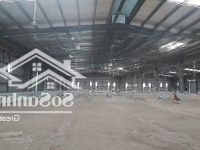 Cho Thuê Kho Xưởng 5500M2, 8500M2, 10.000M2, 18.000M2 Ngay Khu Công Nghiệp Nam Tân Uyên, Bình Dương