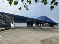 Cần Cho Thuê Kho Chứa Hàng Tại: Thuận An, Dĩ An, Tân Uyên, Bến Cát, Bình Dương, Đa Dạng Giá Rẻ