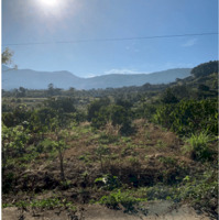 Bán đất giáp thông, view cực đỉnh Phúc Thọ, Lâm Hà