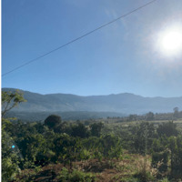 Bán đất giáp thông, view cực đỉnh Phúc Thọ, Lâm Hà