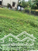 Tìm Chủ Mới Cho Nền 60M2 Ngay Tại Ubnd Phường Vĩnh Phú Giá Bán 2,45 Tỷ Sổ Sẵn .
