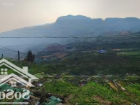 Cơ Hội Đầu Tư Đất Nông Nghiệp View Đẹp Tại Sapa Giá Siêu Hấp Dẫn! Chính Chủ