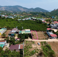 Chính chủ gửi bán đất Phúc Thọ, sẵn thổ cư