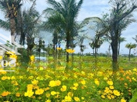 Tổng Hợp Vài Vị Trí Góc 2 Mặt Tiền Cần Bán Tại Fpt City Đà Nẵng