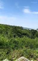 Đất View Đồi - Thích Hợp Làm Khu Nghỉ Dưỡng