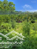 Đất View Đồi - Thích Hợp Làm Khu Nghỉ Dưỡng