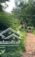 Đất View Đồi - Thích Hợp Làm Khu Nghỉ Dưỡng