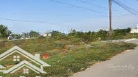 Cần Bán Đất Lúa Giá Rẻ - Phong Điền, Cần Thơ