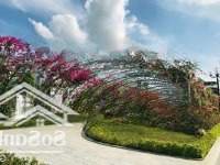 (Sản Phẩm Tốt Nhất Gói 8 ) Bán Nhà Thô 3 Tầng Gói 8 - ( 4 Tỷ 500 Triệu )