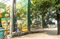 Bán Quán Ăn Đang Cho Thuê 10 Triệuiệu Cặp Bách Hoá Xanh Đường 769 Long Thành