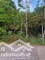 Chính Chủ Bán Đất Hoàng Hoa Thám, Ấp 7, Gia Canh, Định Quán - Giá Bán 1,3 Tỷ -Diện Tích225 M2