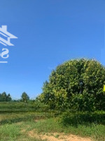 Đất Phù Hợp Đầu Tư - Kinh Doanh Dưới Cầu Dầu Giây - Thống Nhất