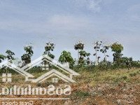 4,2Ha Cao Su Non, Đất Đỏ Bazan Lộc Quang - Lộc Ninh - Bình Phước