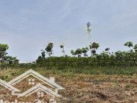 4,2Ha Cao Su Non, Đất Đỏ Bazan Lộc Quang - Lộc Ninh - Bình Phước